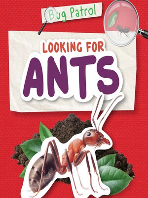 cover image of Looking for Ants